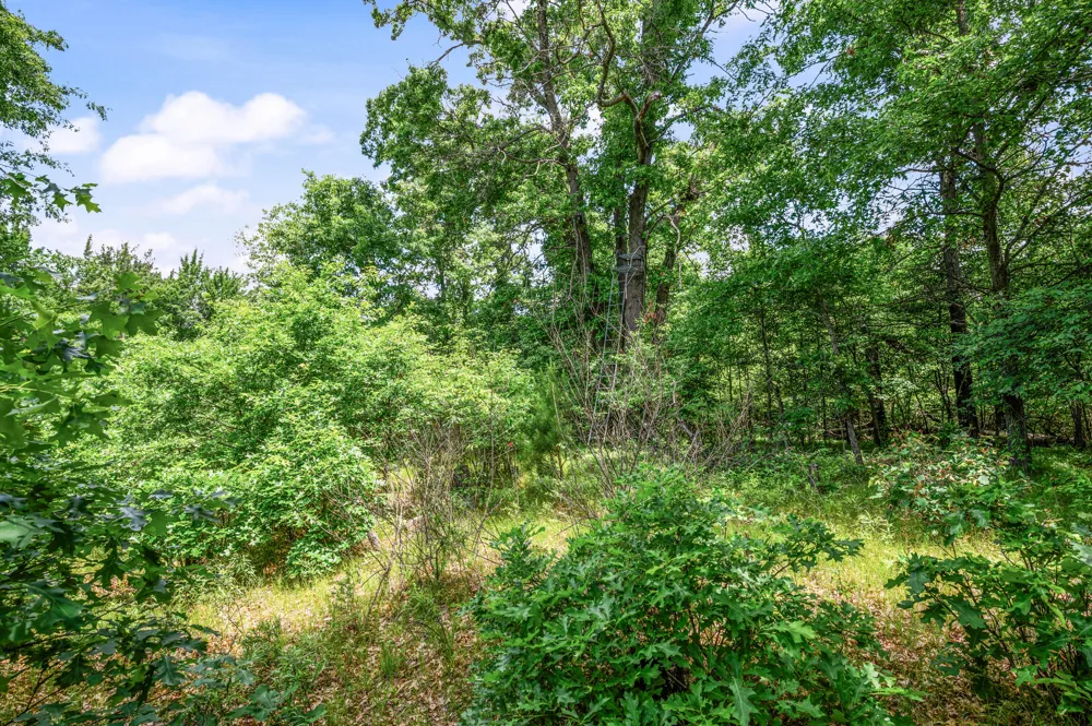 11592 80th Avenue Morton Township, MI 49332