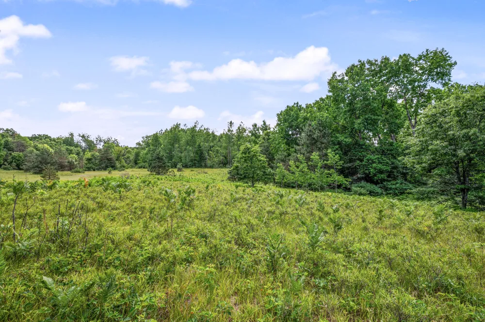 11592 80th Avenue Morton Township, MI 49332