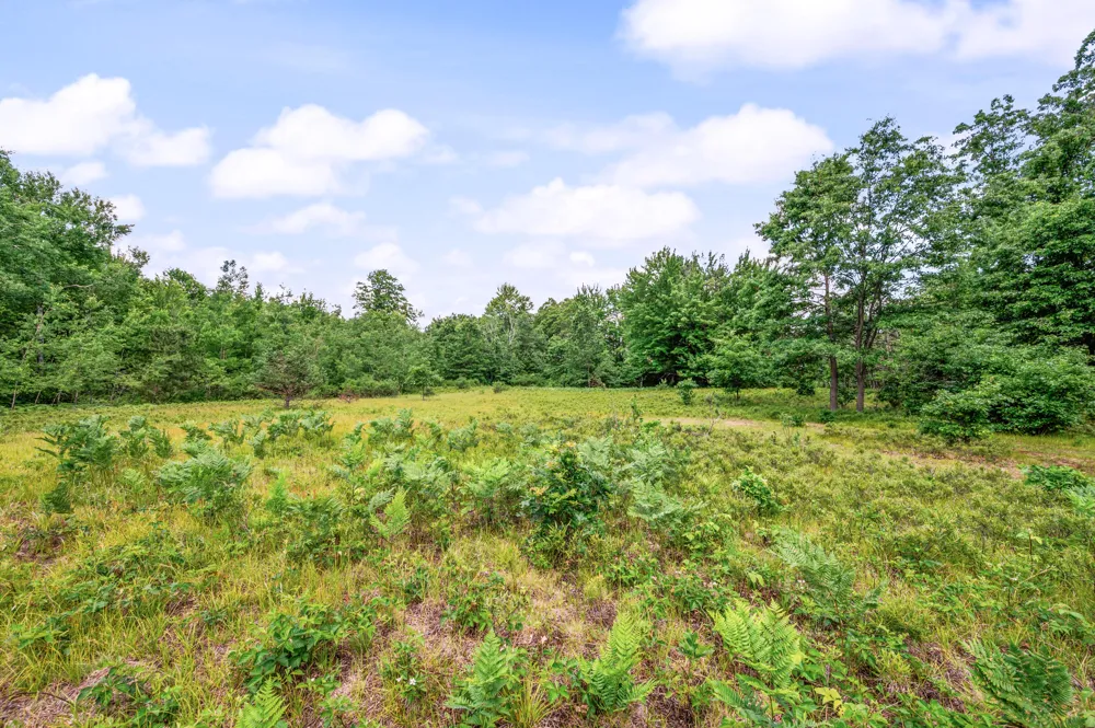 11592 80th Avenue Morton Township, MI 49332