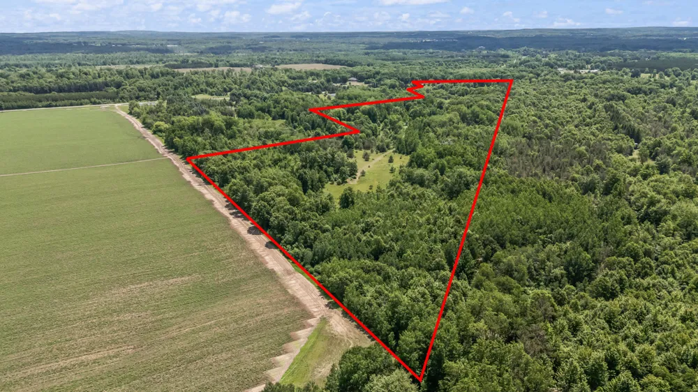 11592 80th Avenue Morton Township, MI 49332