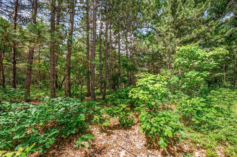 11592 80th Avenue Morton Township, MI 49332