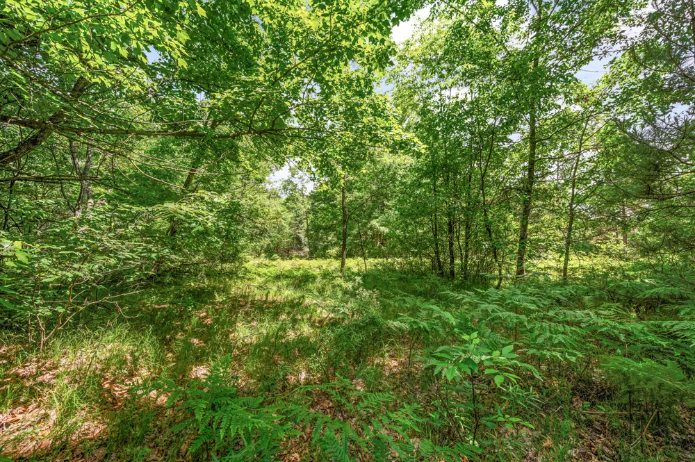 11592 80th Avenue Morton Township, MI 49332