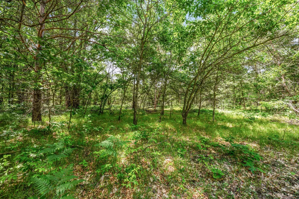 11592 80th Avenue Morton Township, MI 49332