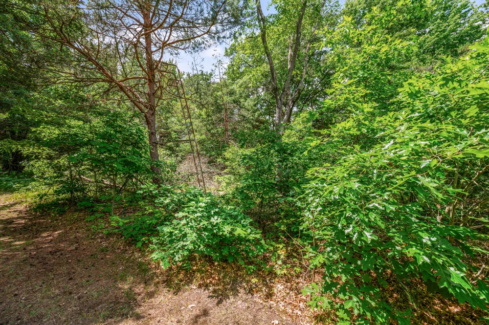 11592 80th Avenue Morton Township, MI 49332