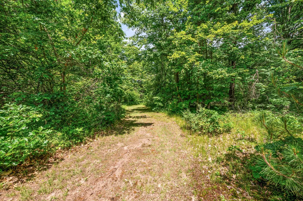 11592 80th Avenue Morton Township, MI 49332