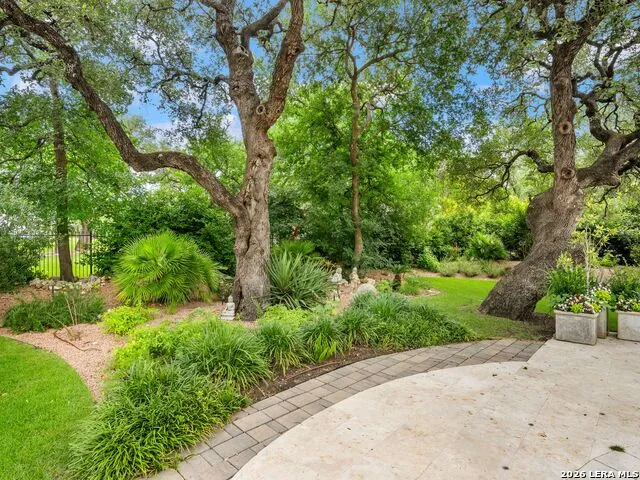 218 Wellesley Landing Shavano Park, TX 78231