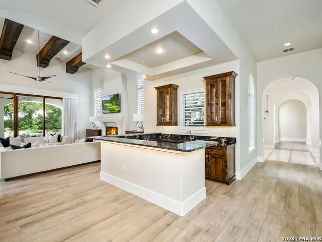 218 Wellesley Landing Shavano Park, TX 78231