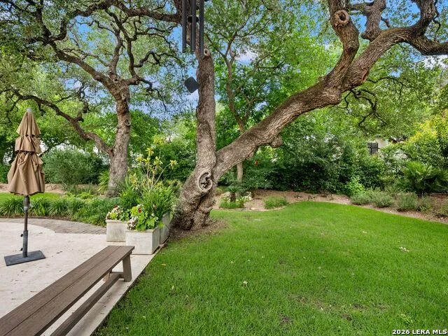 218 Wellesley Landing Shavano Park, TX 78231