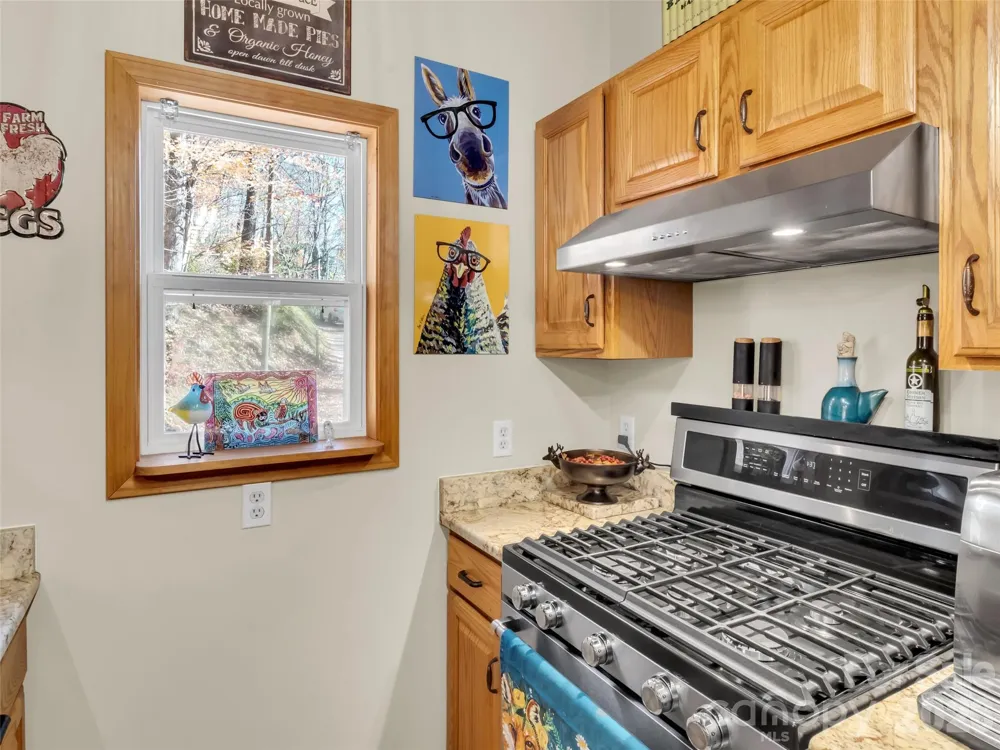245 Greenview Drive Maggie Valley, NC 28751