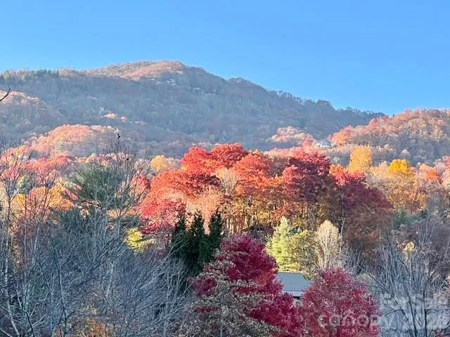 245 Greenview Drive Maggie Valley, NC 28751