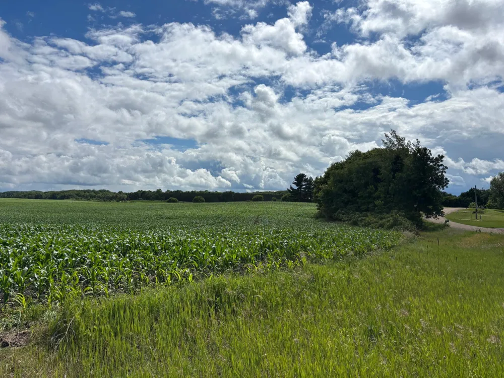 28015 Redhead Drive Underwood, MN 56586