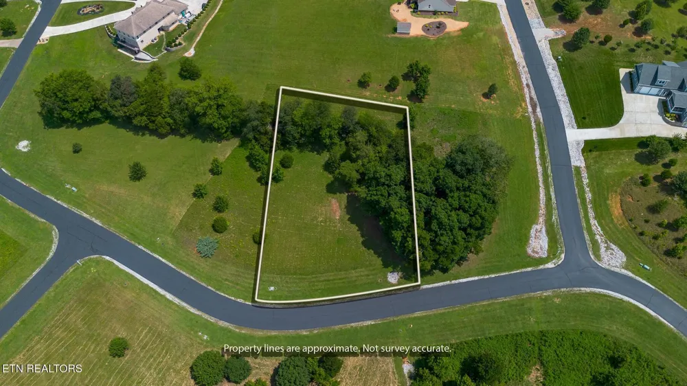 503 W Shore Drive Rockwood, TN 37854