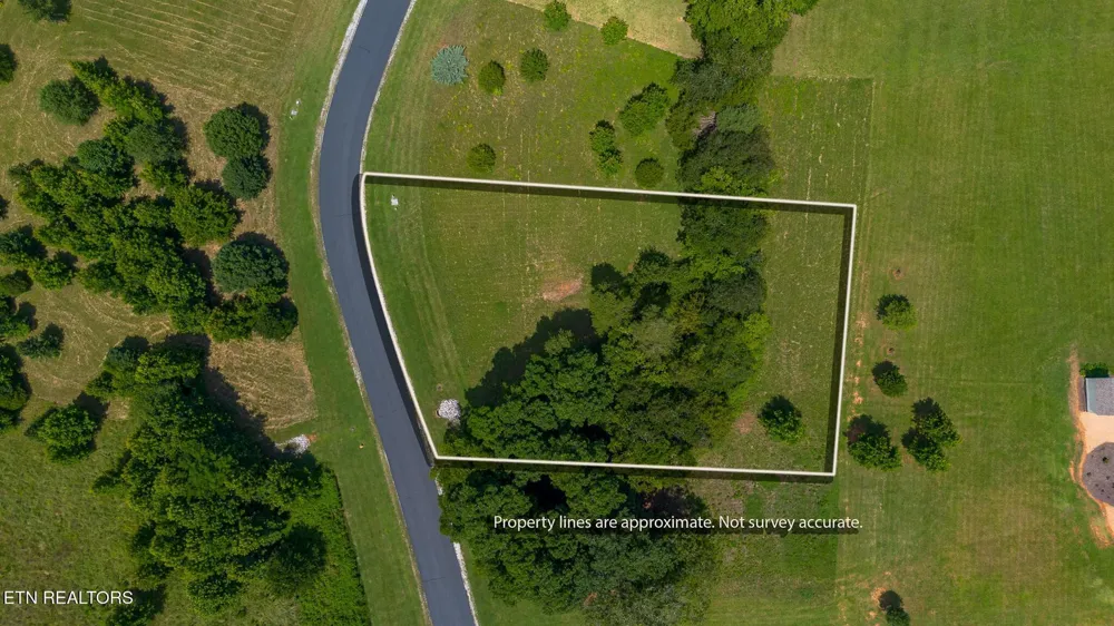 503 W Shore Drive Rockwood, TN 37854
