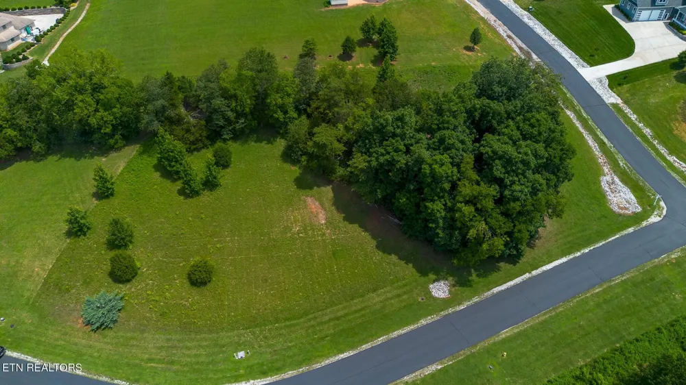 503 W Shore Drive Rockwood, TN 37854