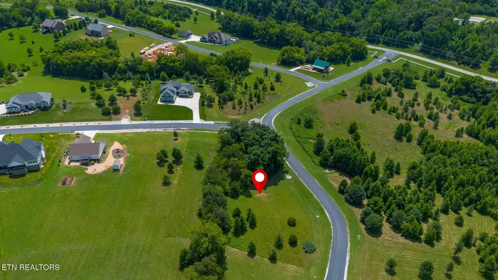 503 W Shore Drive Rockwood, TN 37854