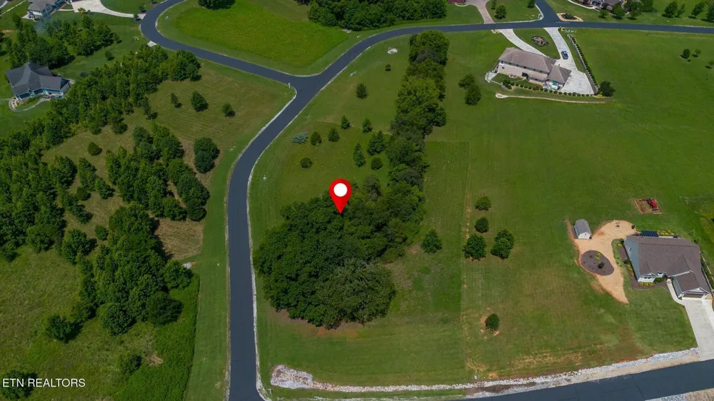 503 W Shore Drive Rockwood, TN 37854