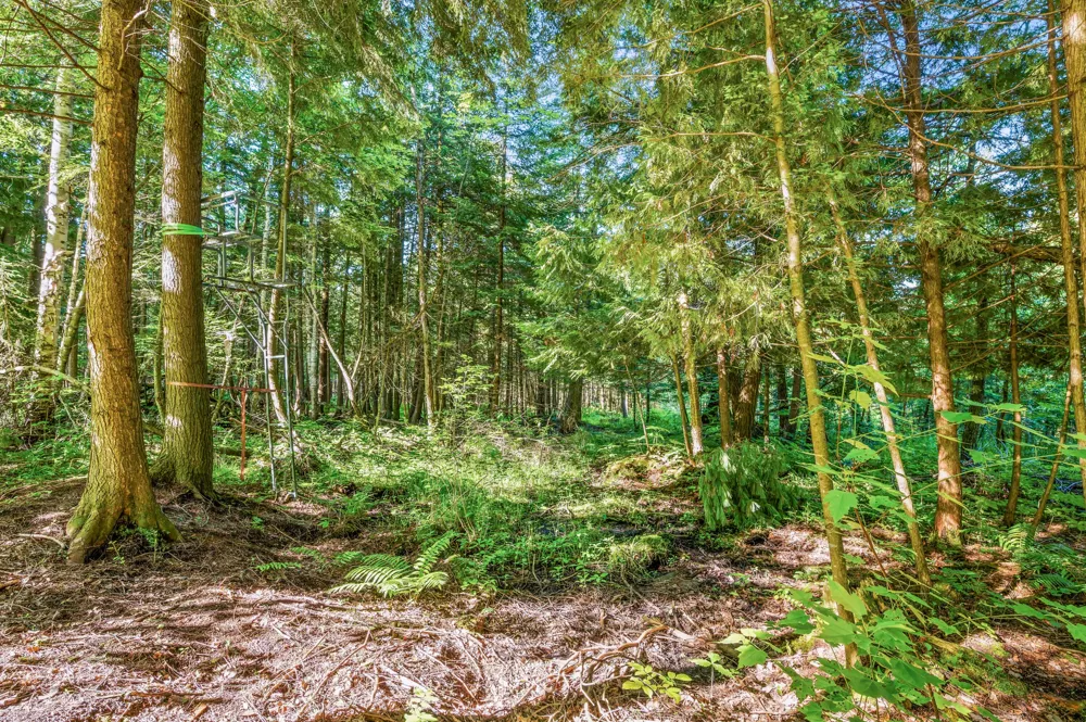 15971 Penesal Road Rose Lake Township, MI 49655