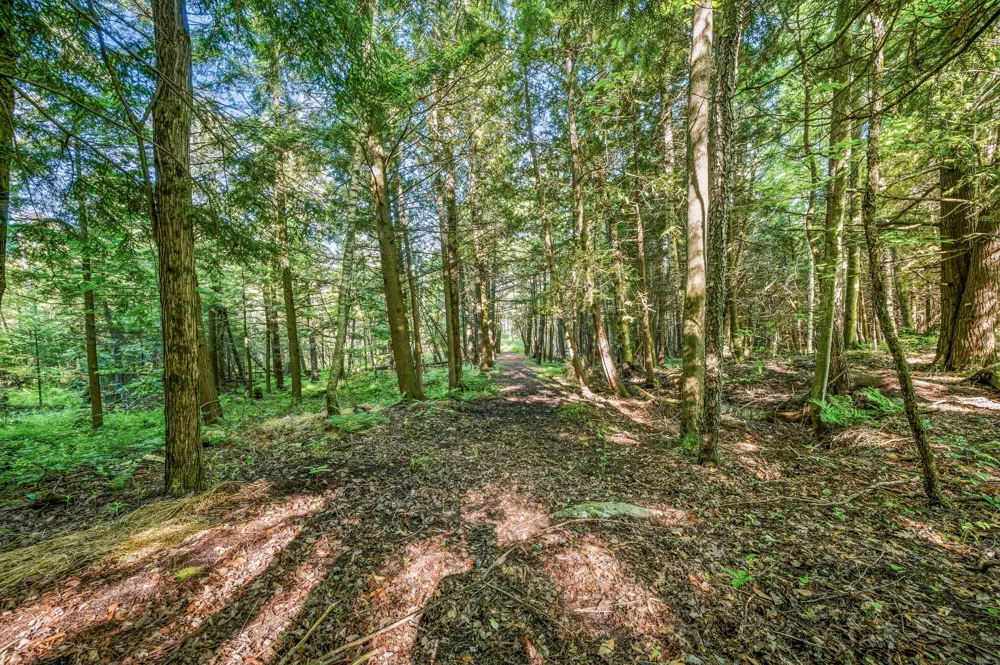 15971 Penesal Road Rose Lake Township, MI 49655