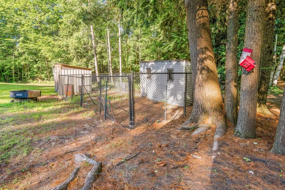 15971 Penesal Road Rose Lake Township, MI 49655