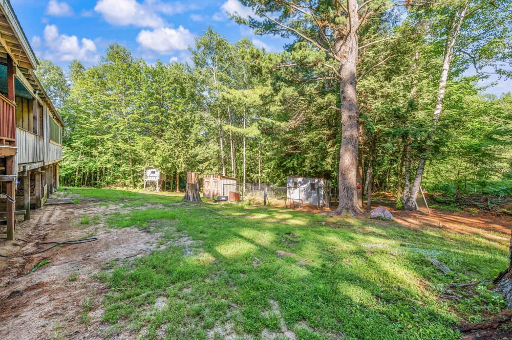 15971 Penesal Road Rose Lake Township, MI 49655