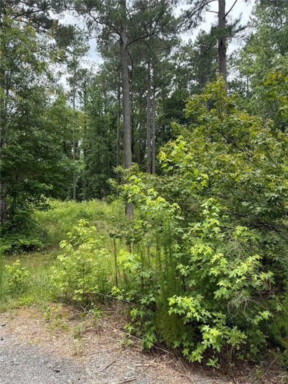 1930 Locust Grove Road Griffin, GA 30223