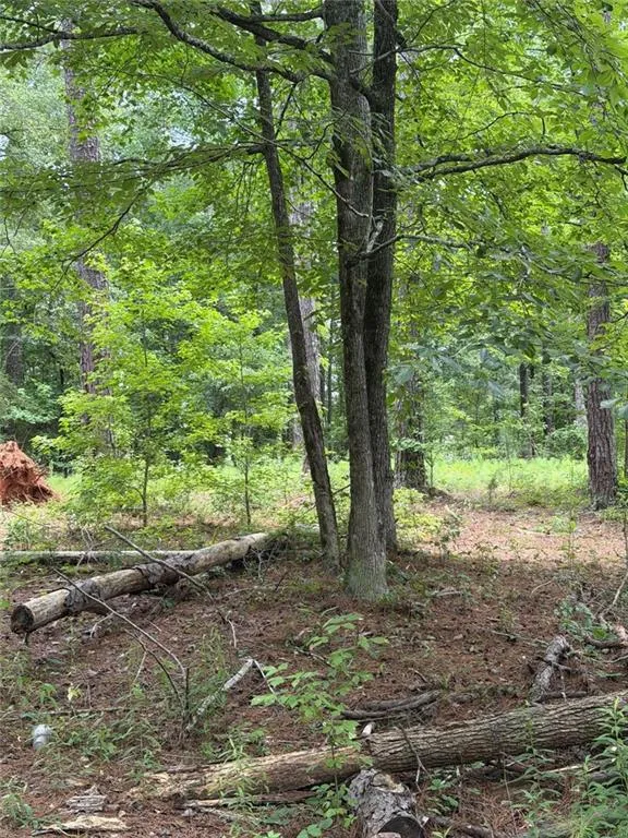 1930 Locust Grove Road Griffin, GA 30223