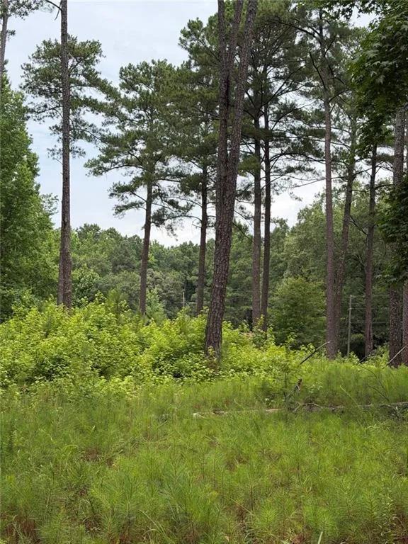 1930 Locust Grove Road Griffin, GA 30223