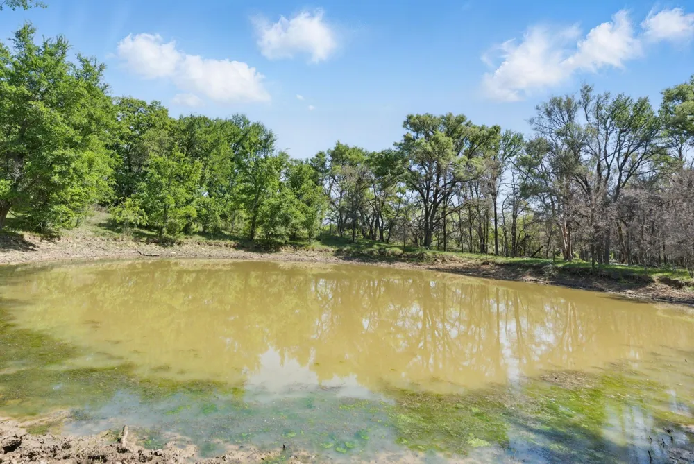 1359 CR 195 Gorman, TX 76454