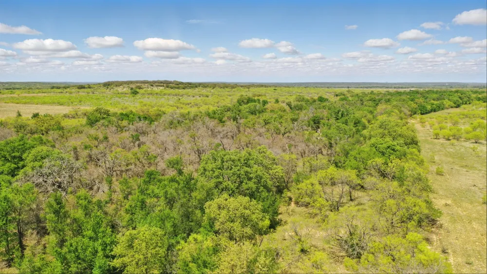 1359 CR 195 Gorman, TX 76454