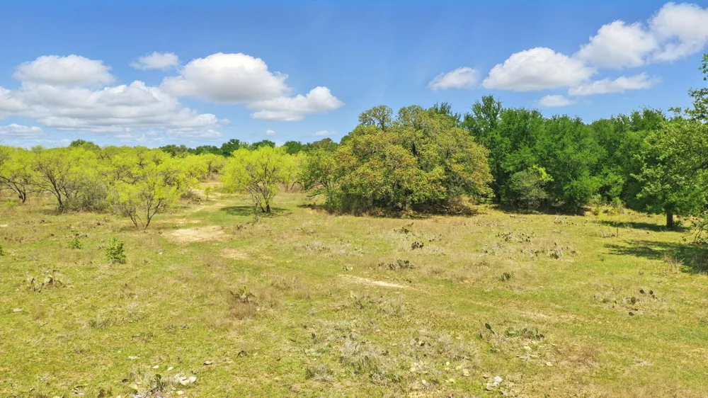 1359 CR 195 Gorman, TX 76454