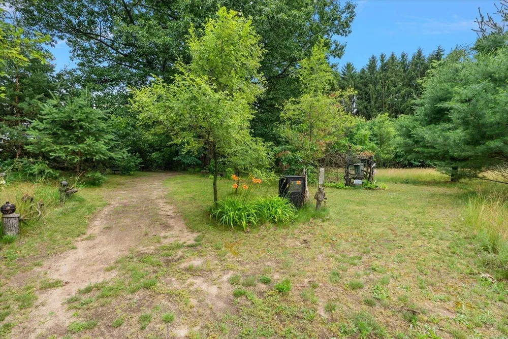 8236 Alpine Avenue NW Alpine Township, MI 49345