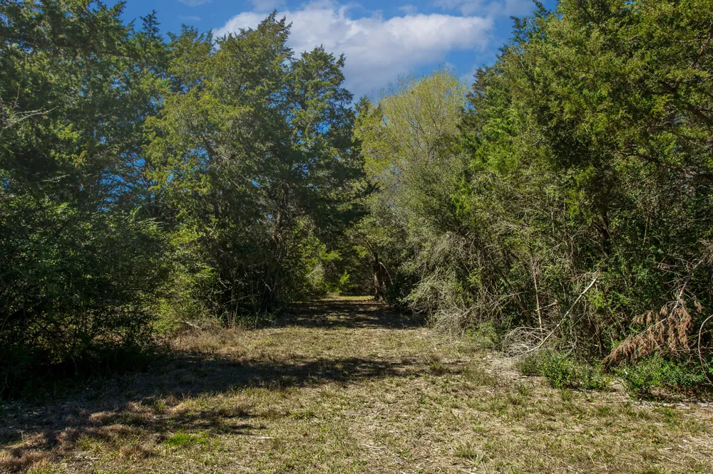 Hwy 36 & CR 328 Caldwell, TX 77838