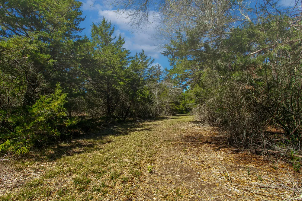 Hwy 36 & CR 328 Caldwell, TX 77838