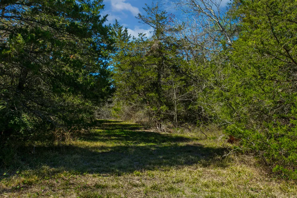Hwy 36 & CR 328 Caldwell, TX 77838