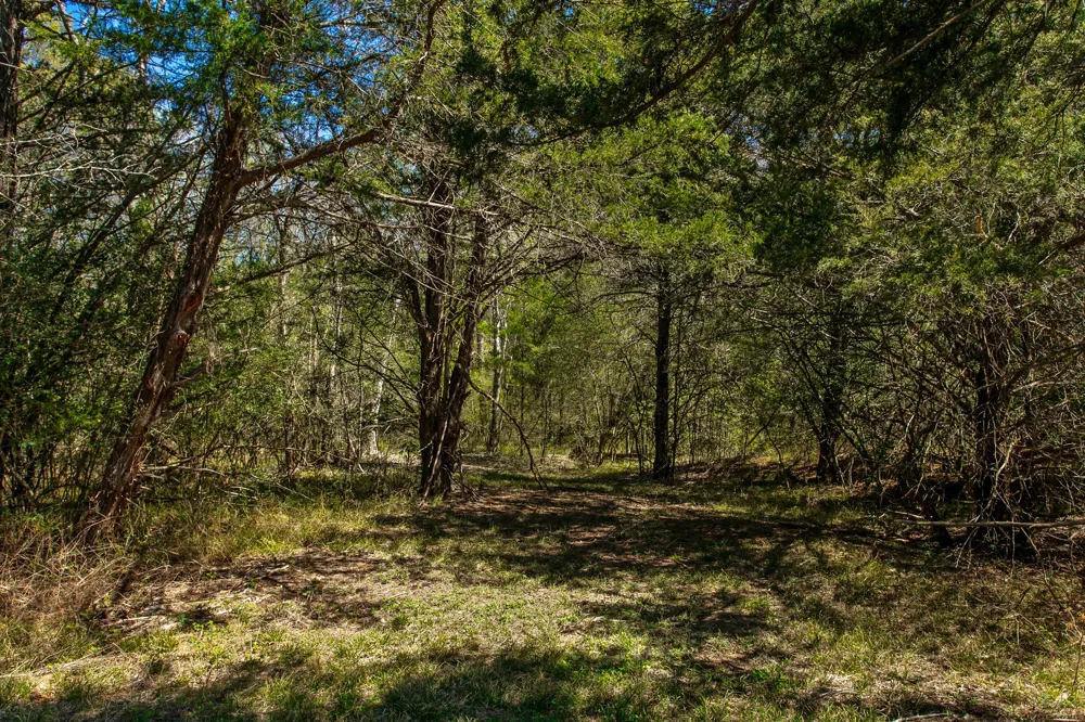 Hwy 36 & CR 328 Caldwell, TX 77838