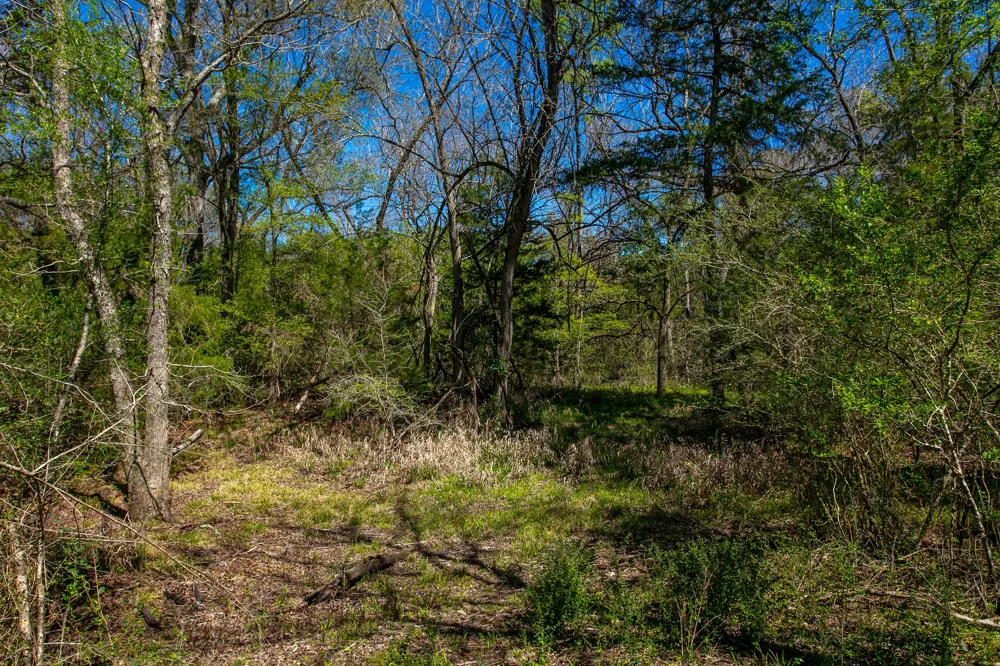Hwy 36 & CR 328 Caldwell, TX 77838