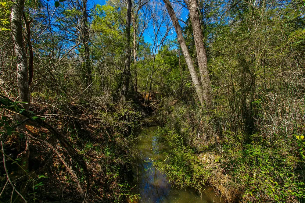 Hwy 36 & CR 328 Caldwell, TX 77838