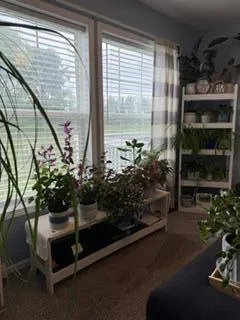 3688 Hollyfield Drive Solon Township, MI 49319