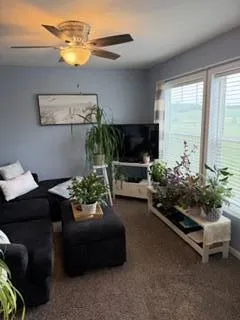3688 Hollyfield Drive Solon Township, MI 49319