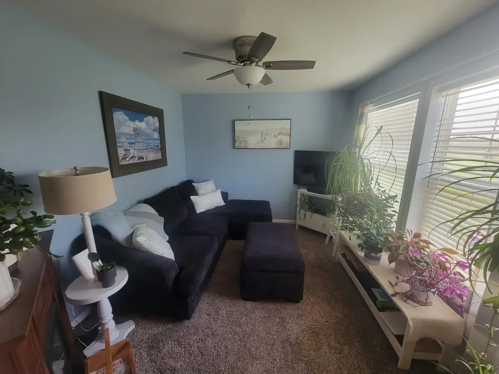 3688 Hollyfield Drive Solon Township, MI 49319
