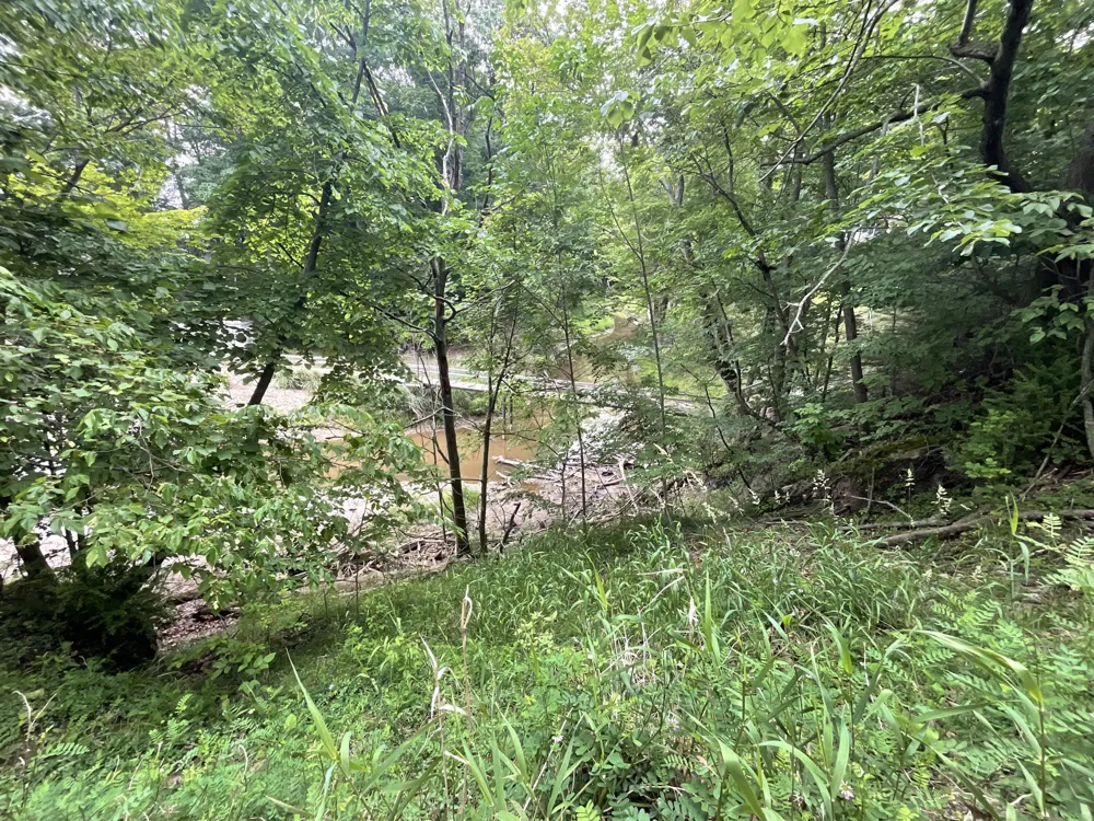 1418 Blue Star Highway Ganges Township, MI 49090