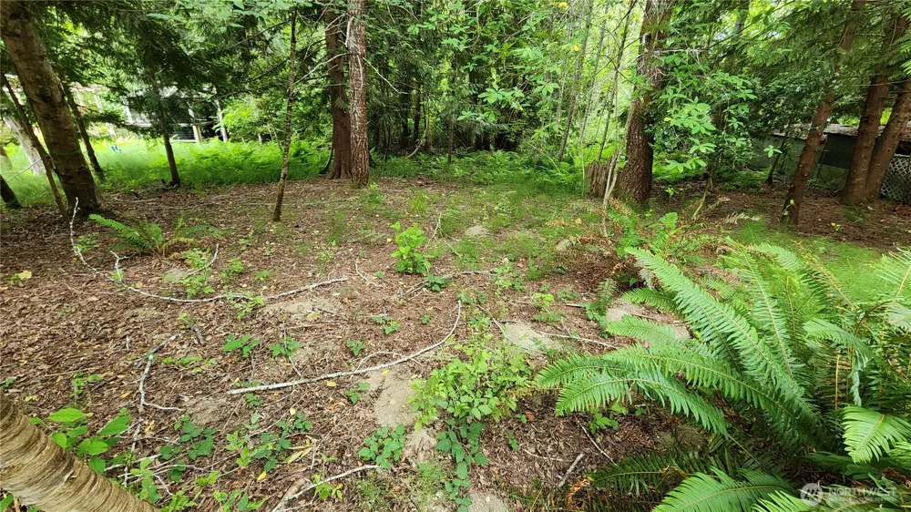 100 E Creekside Dr Belfair, WA 98528