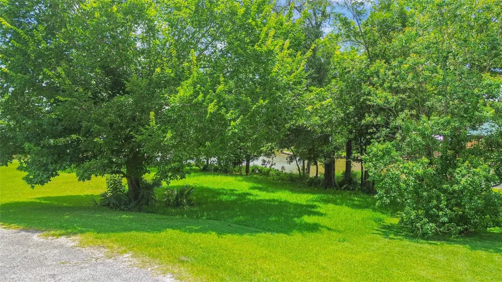 14 Wild Iris Court Huntsville, TX 77340