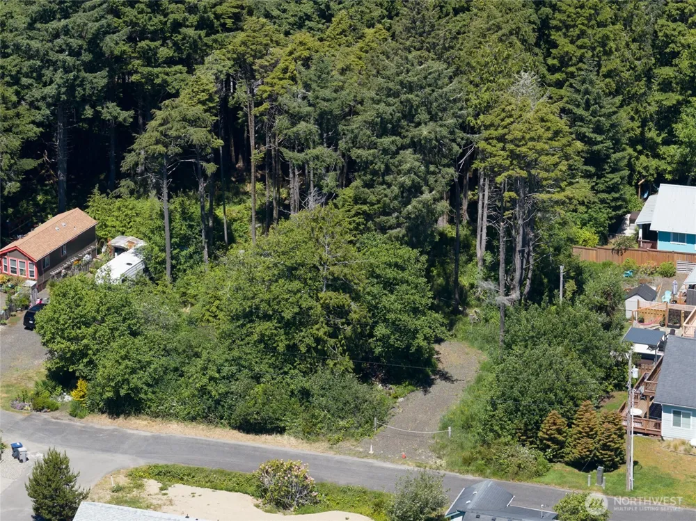 0 Patterson Pacific Beach, WA 98571