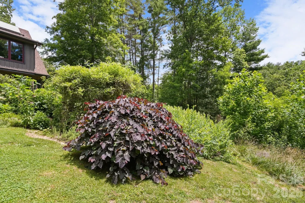 24 Merriwood Trail Arden, NC 28704