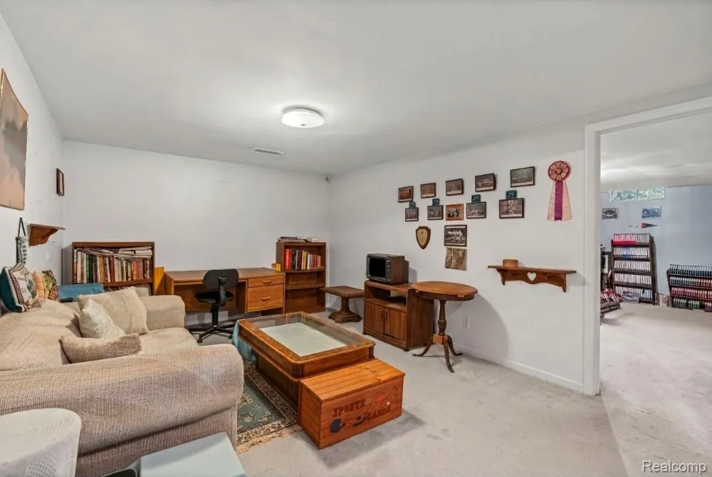 439 Windmill Point Drive Flushing City, MI 48433
