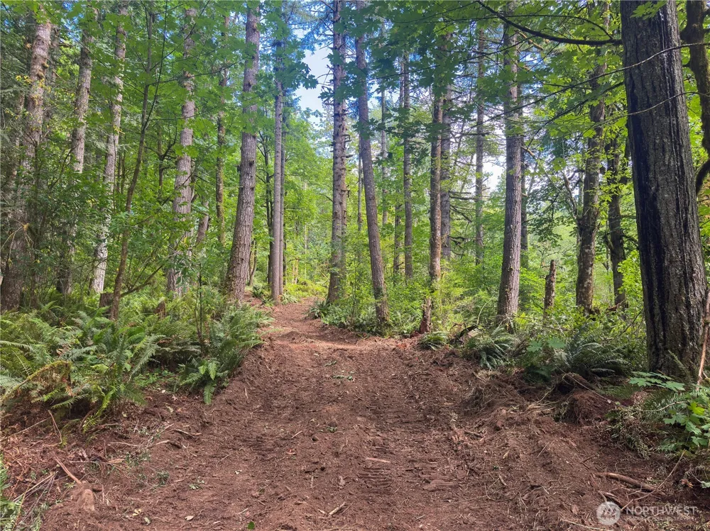 8720 Stoney Creek Lane SW Olympia, WA 98512