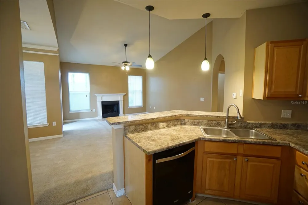18004 VILLA CREEK DRIVE Tampa, FL 33647