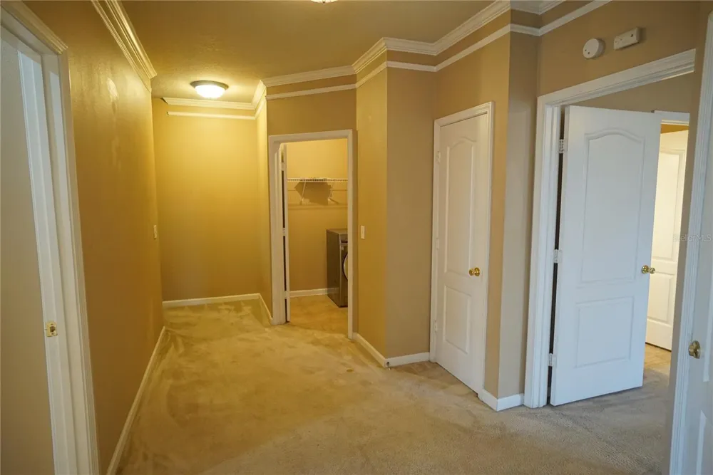 18004 VILLA CREEK DRIVE Tampa, FL 33647