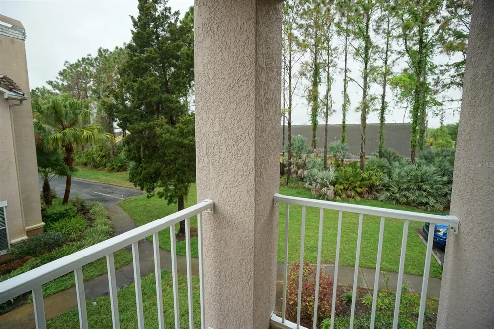 18004 VILLA CREEK DRIVE Tampa, FL 33647